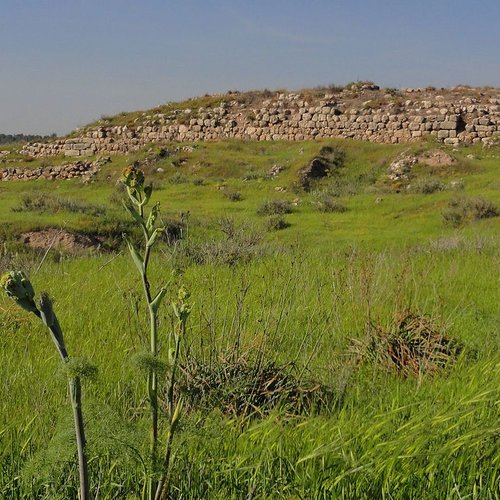 Tel Lachish Panorama 