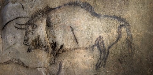 Grotte Niaux Bison @ SESTA E Demoulin