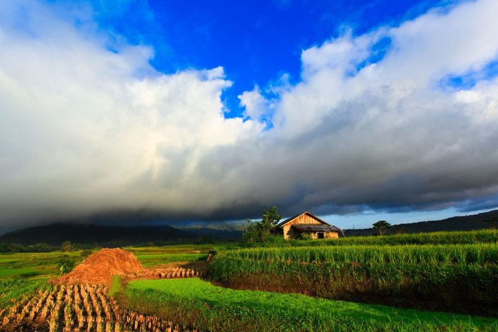 Sumatra Landschaft