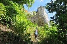 Stufen am Weg zum Geissenkloesterle Schwaebische Alb Achtal Stufen am Weg zum Geissenkloesterle Schwaebische Alb Achtal
