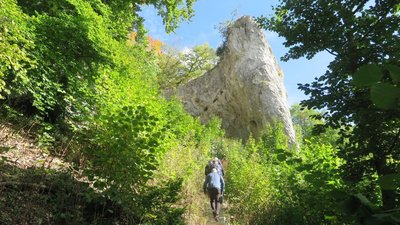 Stufen am Weg zum Geissenkloesterle Schwaebische Alb Achtal