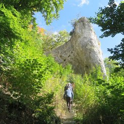 Stufen am Weg zum Geissenkloesterle Schwaebische Alb Achtal