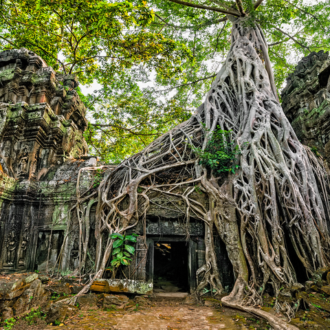 Khmer Architektur Ta Phrom Tempel Kambodscha