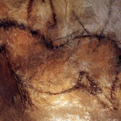 steinzeitliche Höhlenmalerei in Nordspanien Pferd in der Höhle von Candamo © Turismo Asturias Arnaud Spaeni