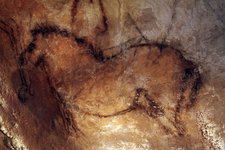 Pferd in der Höhle von Candamo © Turismo Asturias Arnaud Spaeni steinzeitliche Höhlenmalerei in Nordspanien Pferd in der Höhle von Candamo © Turismo Asturias Arnaud Spaeni