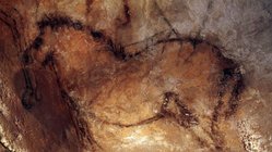 steinzeitliche Höhlenmalerei in Nordspanien Pferd in der Höhle von Candamo © Turismo Asturias Arnaud Spaeni