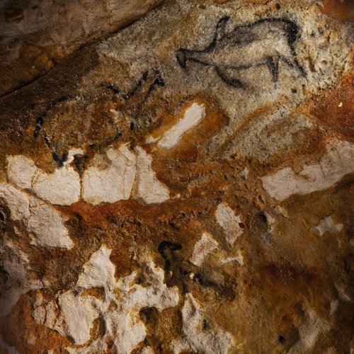 panneau des pingouins complet © Cosqer Mediterranée