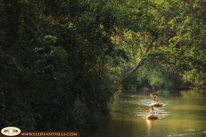 Elephant Hills Regenwald Natur Safari Aktivprogramm im Khao Sok Nationalpark Elephant Hills Regenwald Natur Safari Aktivprogramm im Khao Sok Nationalpark