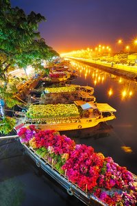 Saigon Blumenmarkt Tet Vietnam