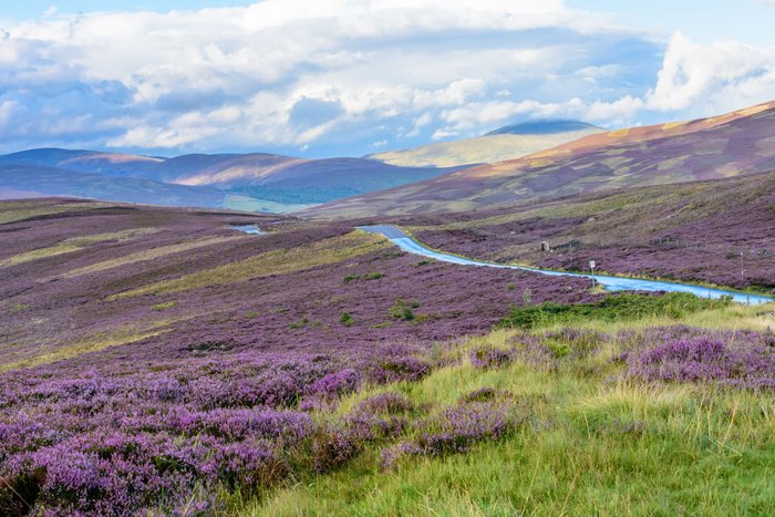 traumhafte Natur in den Hügeln des Cairngorms National Park in Schottland 