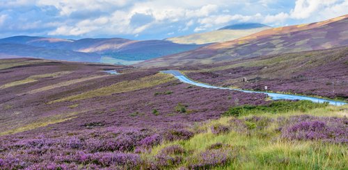 traumhafte Natur in den Hügeln des Cairngorms National Park in Schottland 