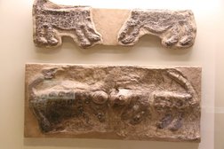 Ankara Museum Catal Hoeyuek Wandrelief, Abenteuer Archäologie Zugvogeltouristik