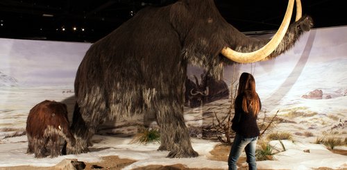 prähistorischer Park Tarascon sur Ariège © SESTA